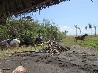 IMG_0098.jpg