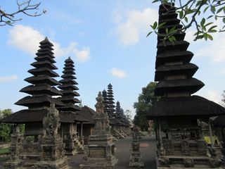 IMG_0198.jpg