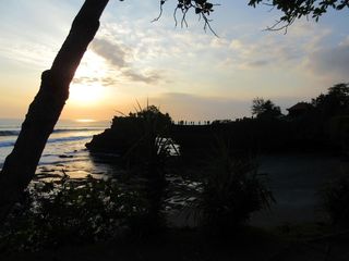 IMG_0219.jpg